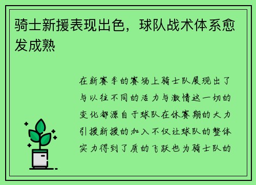 骑士新援表现出色，球队战术体系愈发成熟