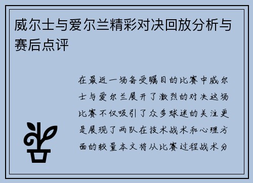 威尔士与爱尔兰精彩对决回放分析与赛后点评