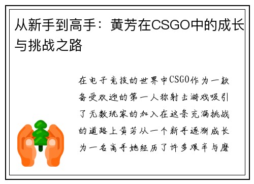 从新手到高手：黄芳在CSGO中的成长与挑战之路