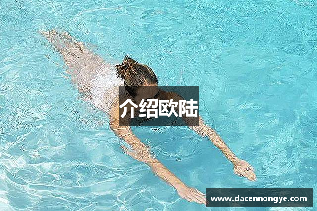 介绍欧陆
